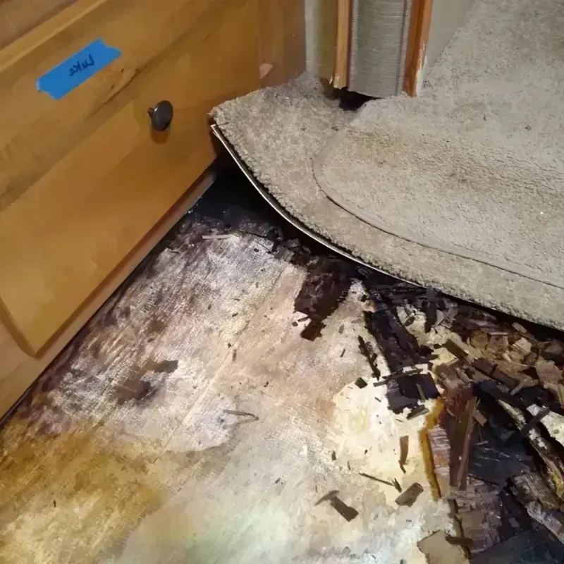 Wood Floor Water Damage in Coon Rapids, MN